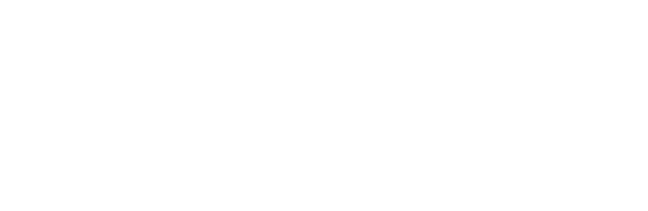 Partner Masivo